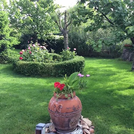 La Di Paola Bed & Breakfast Cesenatico